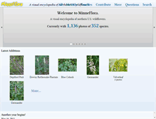 Tablet Screenshot of minneflora.com